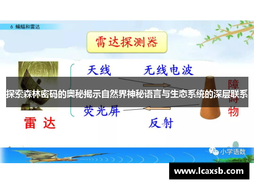 探索森林密码的奥秘揭示自然界神秘语言与生态系统的深层联系